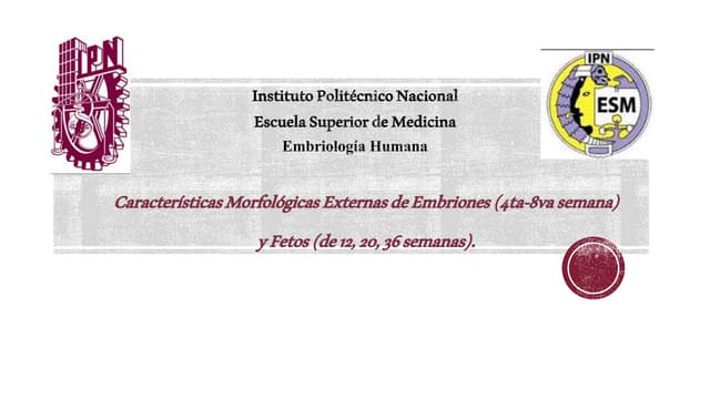 desarrollo Embrionario