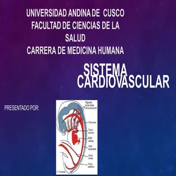 Sistema cardiovascular | PPTX