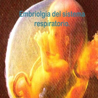 Embriología del Sistema Respiratorio