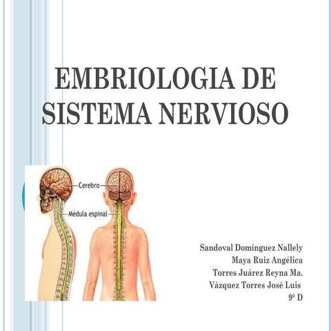 Embriología del sistema nervioso (comp)