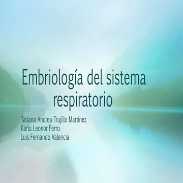 Embriología del sistema respiratorio