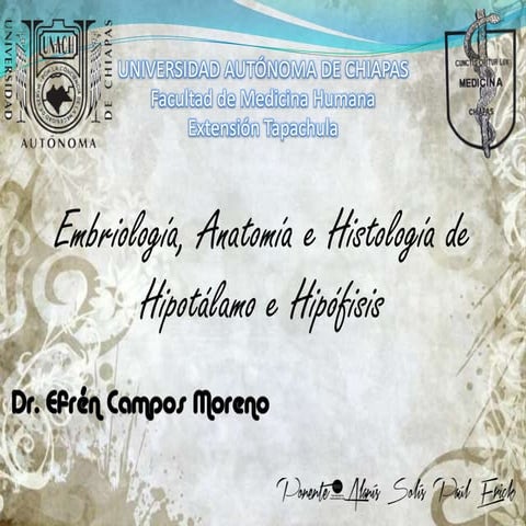 Embriología, anatomía e histología de hipotálamo e hipófisis