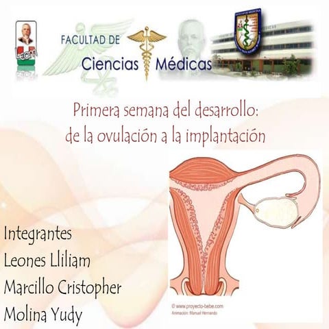 PRIMERA SEMANA DE DESARROLLO DE LA OVULACION A LA IMPLANTACION 