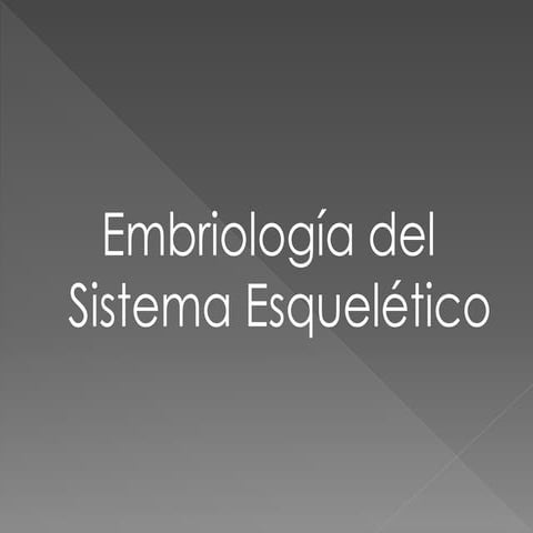 Embriologia del desarrollo del esqueleto