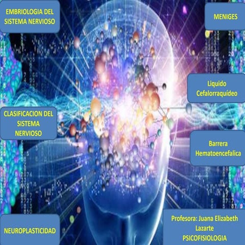 IODI - INSTRUMENTO DE OBSERVACIÓN DEL DESARROLLO INFANTIL | PDF