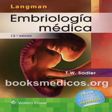 Embriologia Medica Langman 13 red (2).pdf - Document Preview