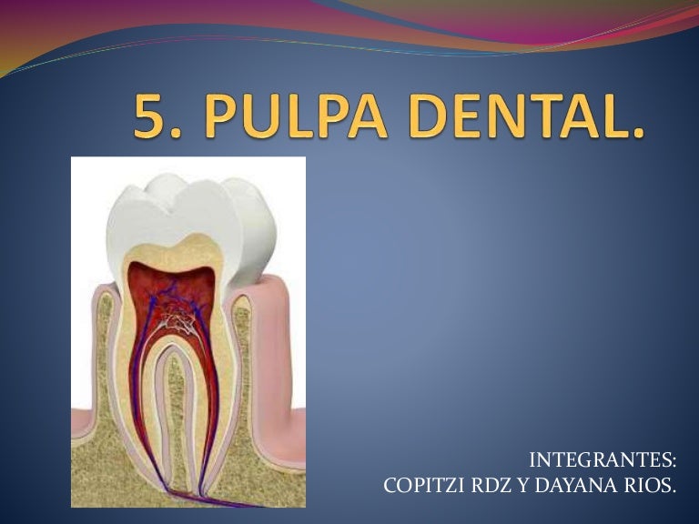 Pulpa Dental