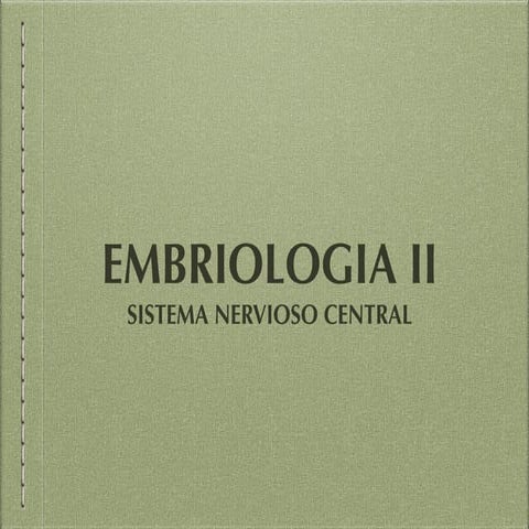 Embriologia-Sistema Nervioso