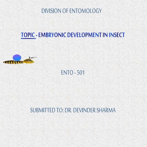 Embryological development in insect