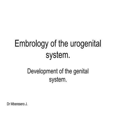 Embryology of the urogenital system