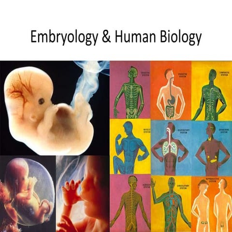 REPRODUCTION AND DEVELOPMENT.pptx-What is Reproduction? | PPTX