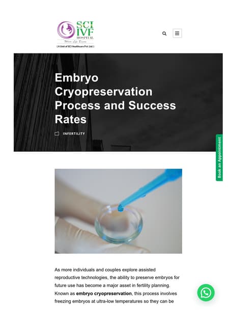 Understanding the Frozen Embryo Transfer Procedure: A Comprehensive ...