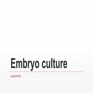 Embryo culture