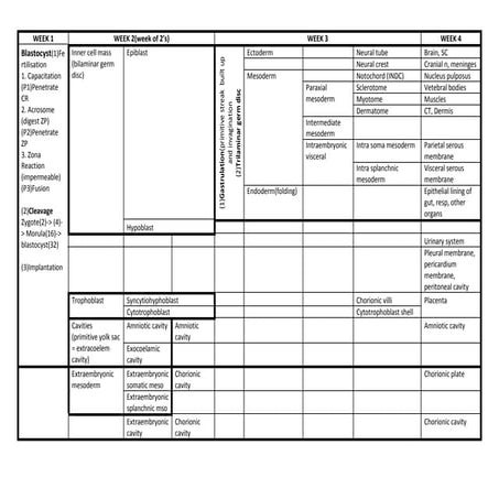 Embryology Timeline | PPTX