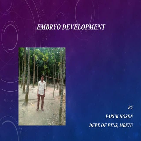 Fetal/Embryonic development in 3 trimester