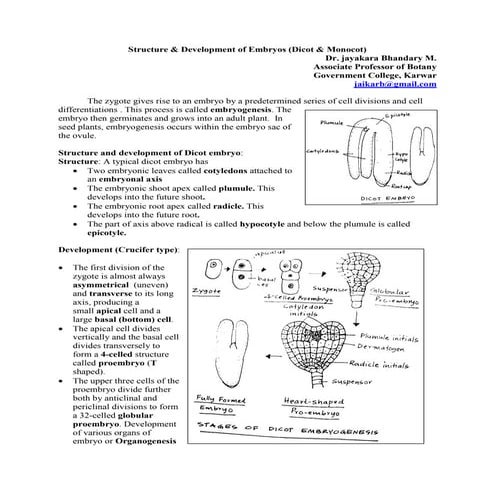 Embryogenesis