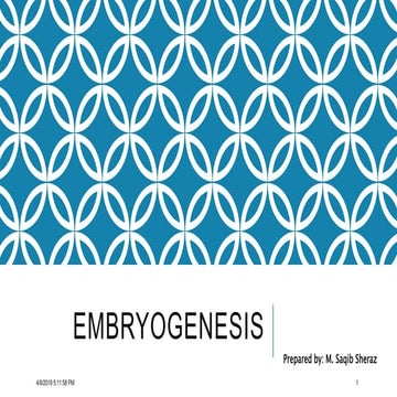 Embryogenesis