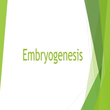 Embryogenesis