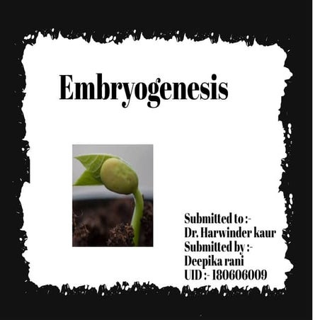 Embryogenesis deepika