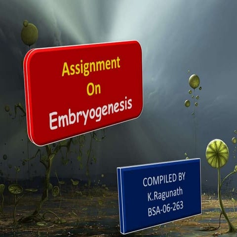 Embryogenesis in silkworms