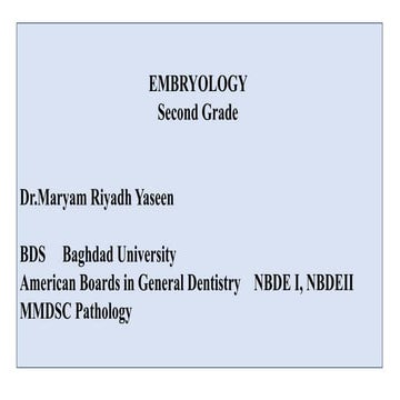 embryology second grade bds baghdad university