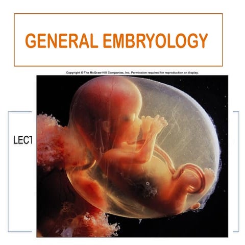 Embryology 1.pptx best ppt for medical student to be work hard at | PPTX