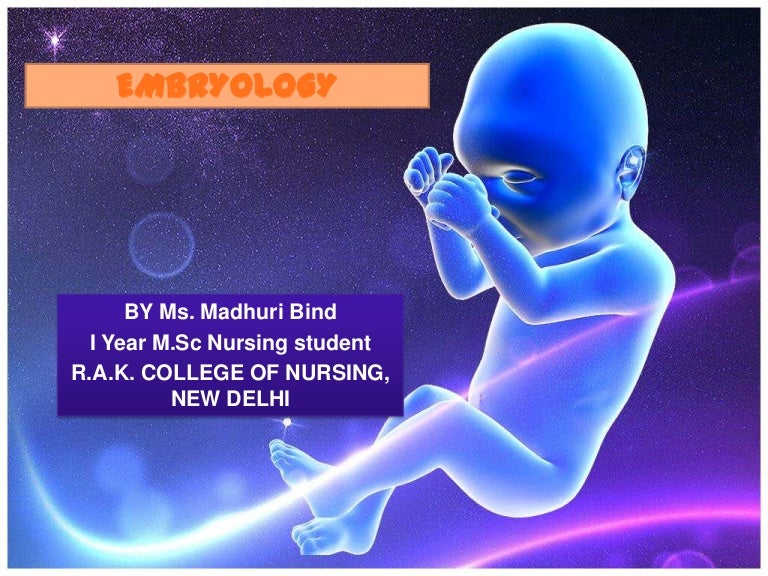 embryology