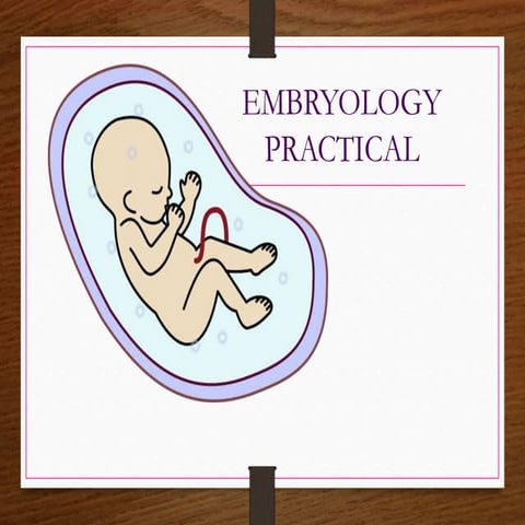 Embryology 1st year mbbs