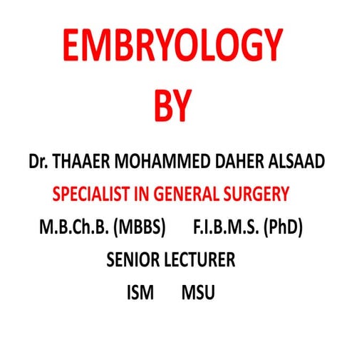 Embryology    urogenital system