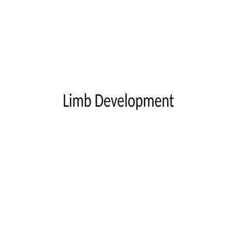 Embryology of Limb Development in humans | PPTX