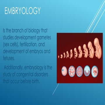 Embryology 1.pptx........................