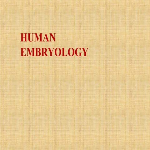 Embryology2