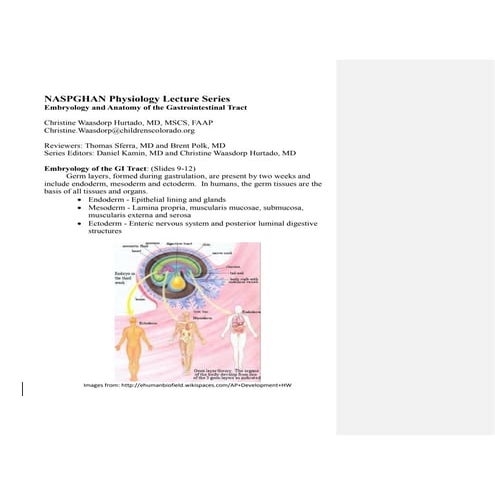 Embryology_and_Anatomy_of_the_Gastrointestinal_Tract_NASPGHAN.pdf