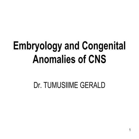 Embryology of the Central Nevous system and anomalies