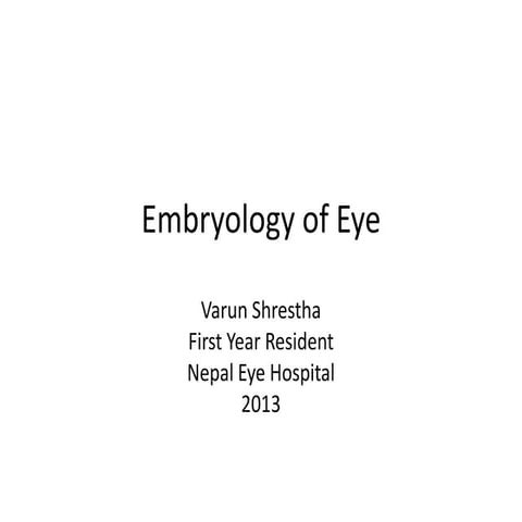 Embryology of eye