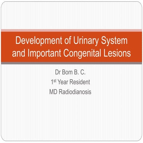 embryologyofgusystem-200903104031 (1).ppt