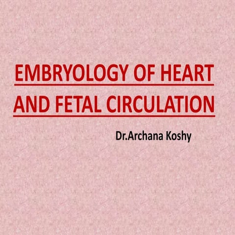 Embryology of heart and fetal circulation