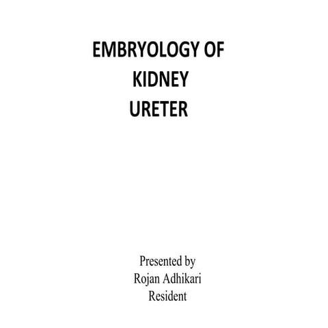 Embryology of kidney