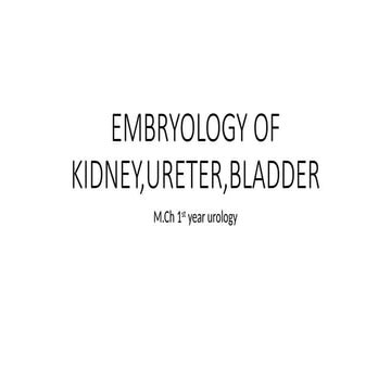 EMBRYOLOGY OF KIDNEY^JURETER^JBLADDER.pptx