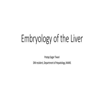 Embryology of liver