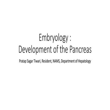 Embryology of pancreas
