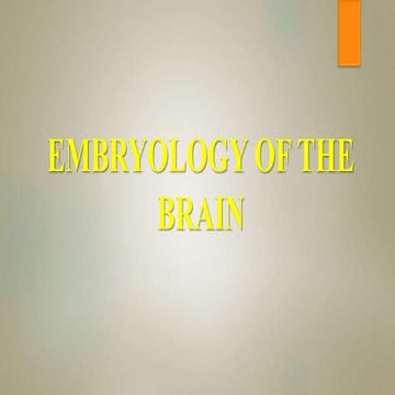 Embryology Of The Brain.pptx