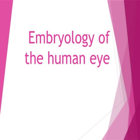 Embryology of the eye in fetus to from and eye