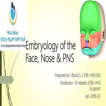 Embryology of the face, nose &amp; pns beba