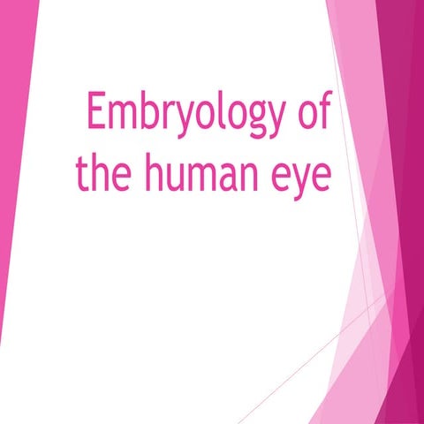 embryologyofthehumaneye-140917000616-phpapp02-converted.pptx