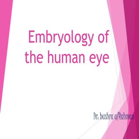 Embryology of the human eye