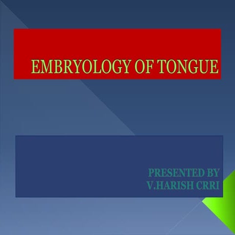 Embryology of tongue