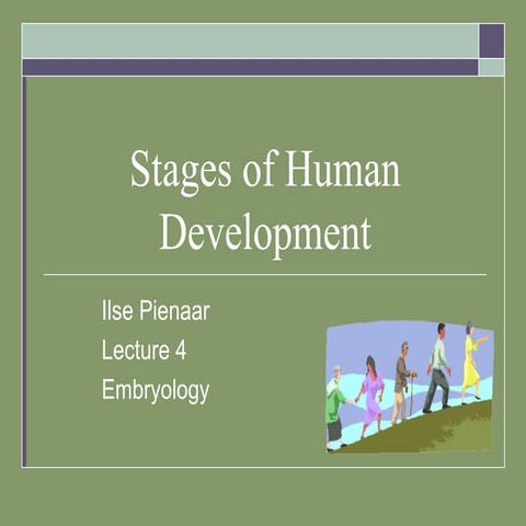 Embryology ppt 