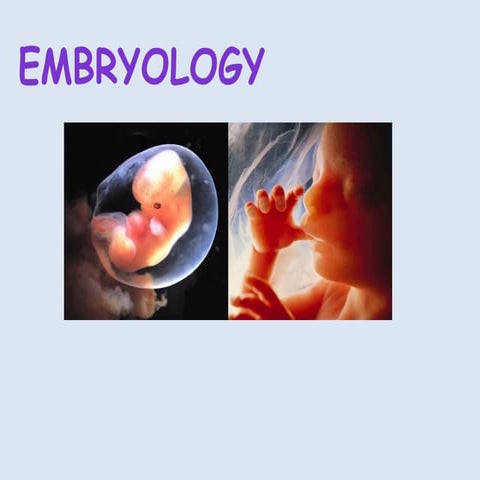 EMBRYOLOGY Power point presentation seminar part 1