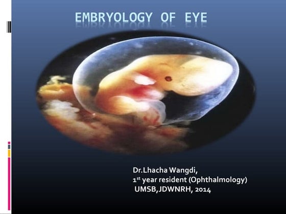 Embryology of eye | PPT